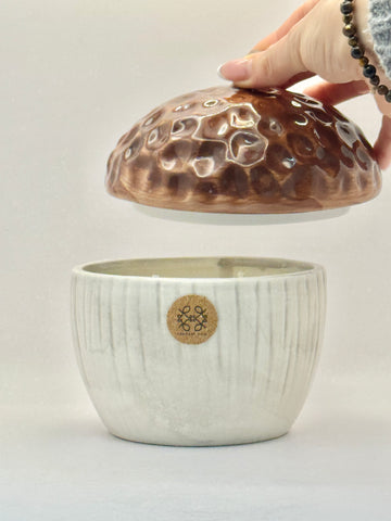 DUFTKERZE HASELNUSS NATURE