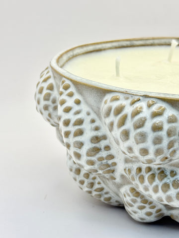 DUFTKerze mit Kiefernzapfen  Nature