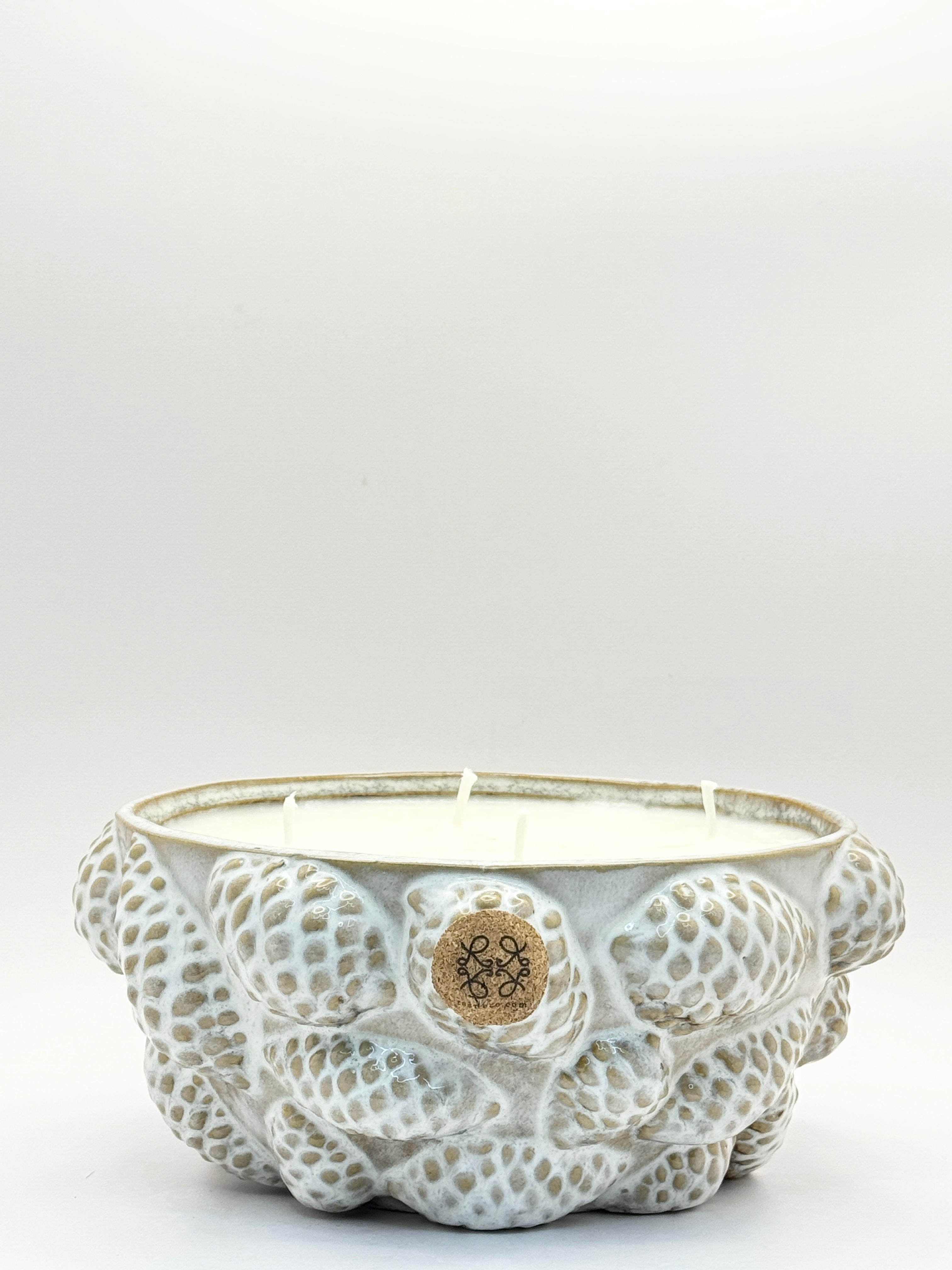 DUFTKerze mit Kiefernzapfen  Nature