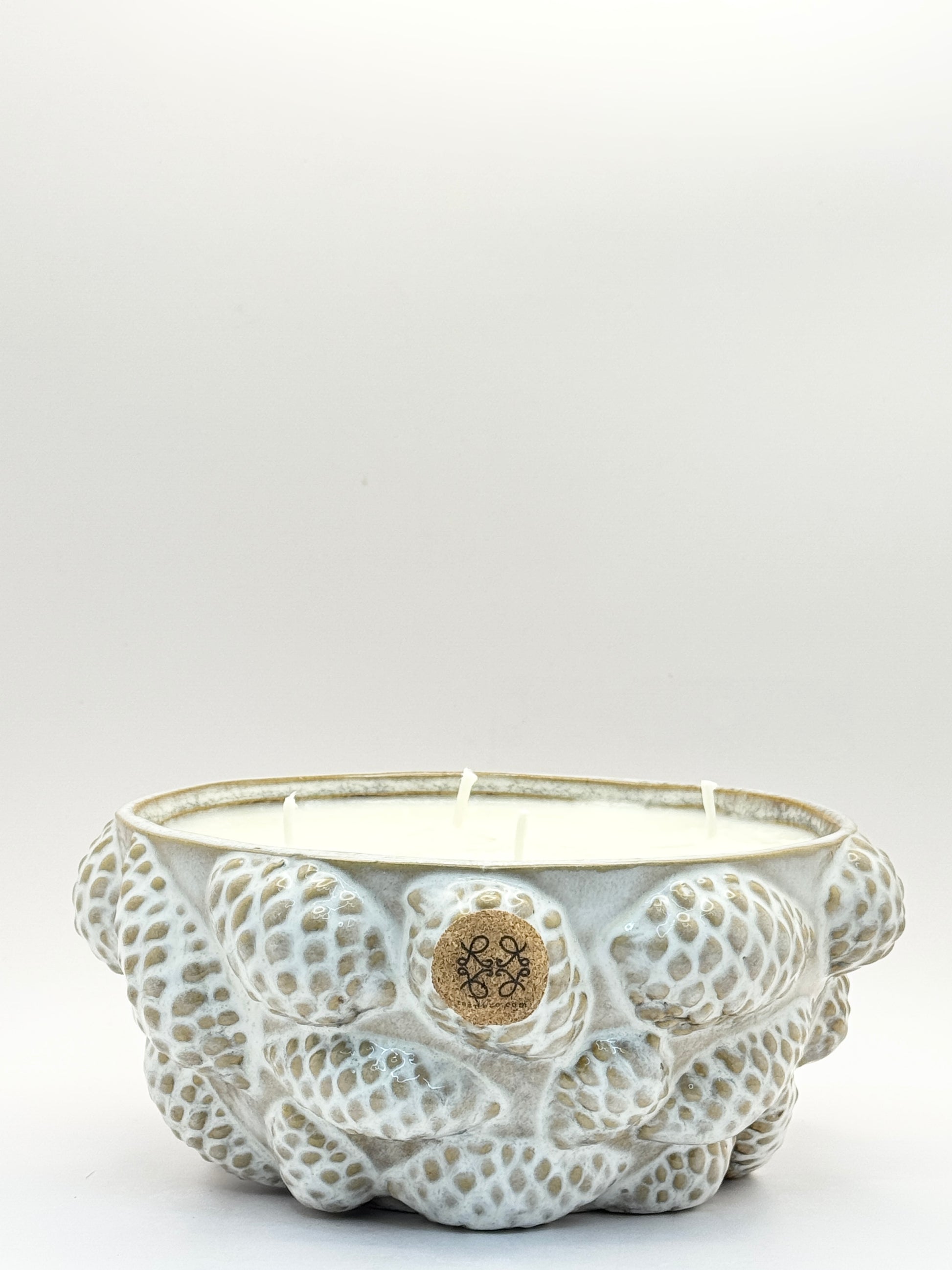 DUFTKerze mit Kiefernzapfen  Nature