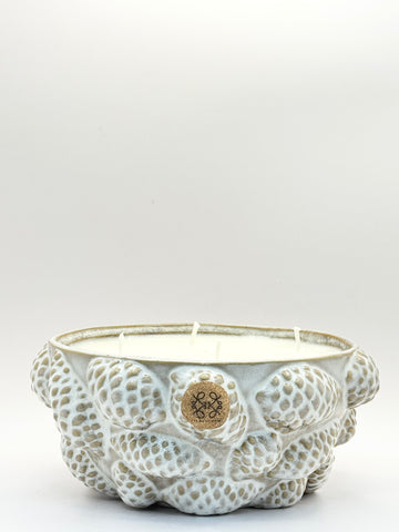 DUFTKerze mit Kiefernzapfen  Nature