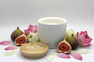 Refill Duftkerze Feige & Lotusblume – Wellness Kollektion
